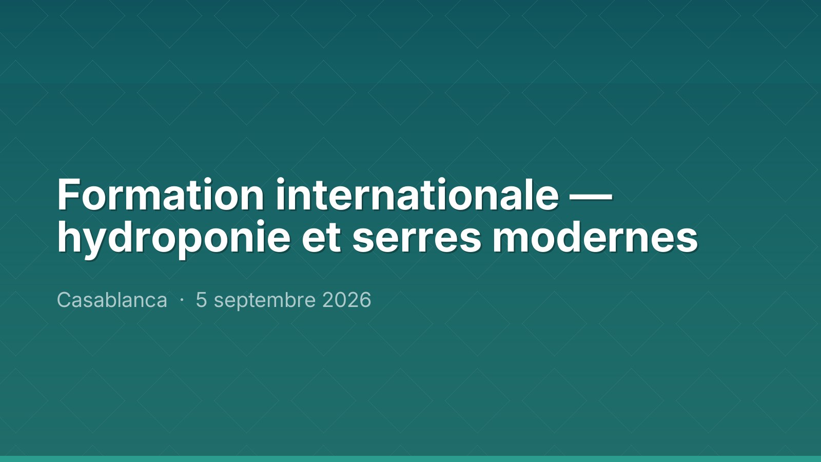 Formation internationale — hydroponie et serres modernes