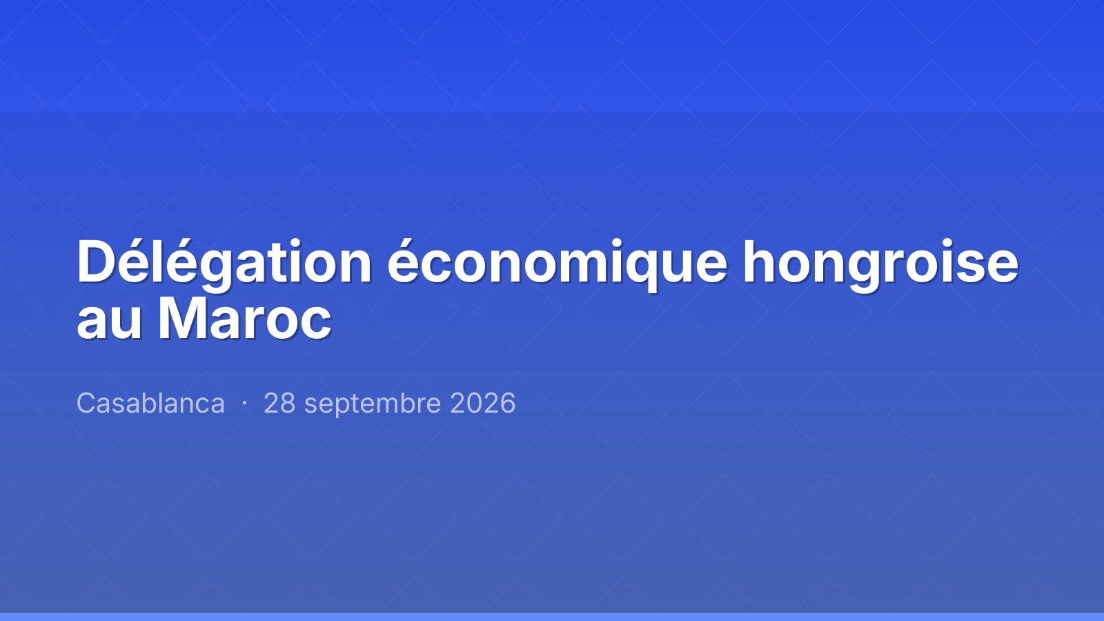 Délégation économique hongroise au Maroc